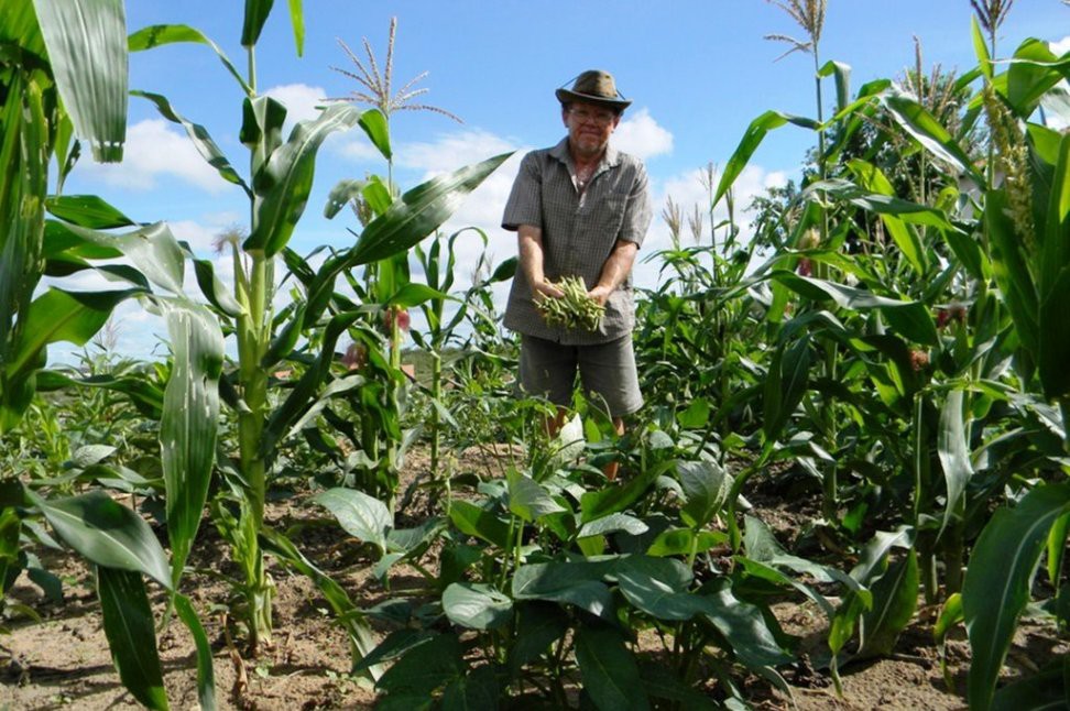 Chihuahua: Primeros lugares en exportación agrícola y ganadera